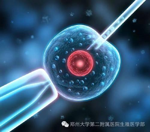 北京正规供卵生殖中心_北京的试管婴儿可以治疗哪些疾病？