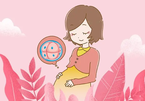 我可以在北京的一家三甲医院用捐赠的卵子做试管婴儿吗？我需要等待多长时间才能拿到鸡蛋？