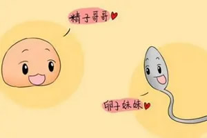 北京供卵助孕机构：如果你想生儿子，如何为男人做孕前准备