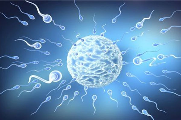 广西南宁哪里做试管好一点-试管婴儿是指男性伴侣的精子吗？