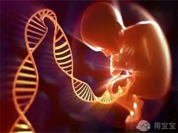 岳阳供卵助孕收费标准：北京朝阳医院试管婴儿的费用是多少？