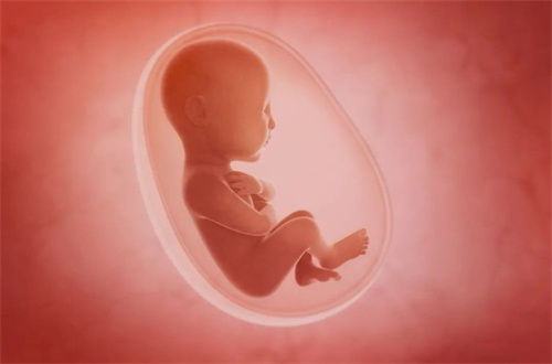 德州借卵试管助孕包生男孩：温州提供卵子做试管婴儿（男孩）的医院名单! 剖析供卵受孕男孩的条件