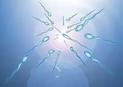 哈尔滨45岁合法助孕-精子异常是如何表现